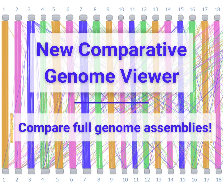 Background is a CGV full genome comparison view of two assemblies. Text says: New Comparative Genome Viewer, Compare full genome assemblies!