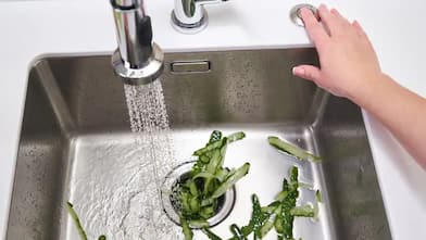 A food waste disposer in a kitchen sink