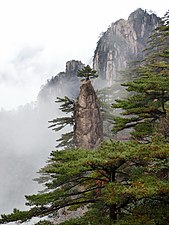 Huangshan Pine-梦笔生花 20141109.JPG