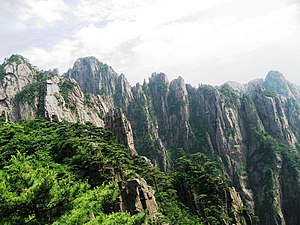 View from a cable car