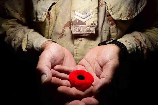 How the Red Poppy Became a Symbol of Remembrance for Troops Everywhere