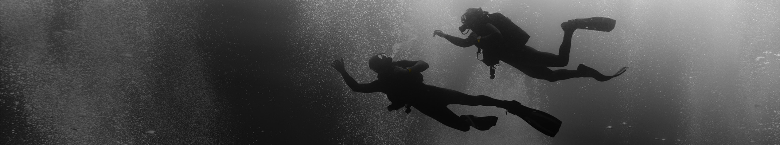 Two scuba divers swimming underwater.