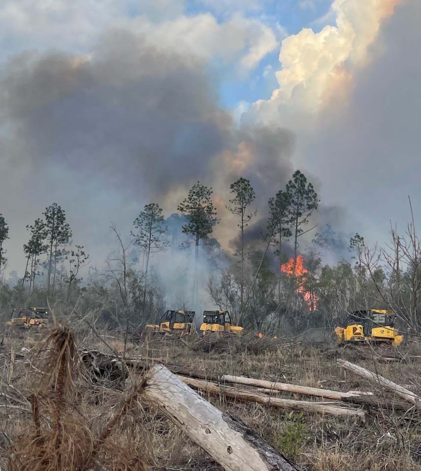 Bertha Road Fire