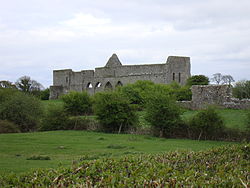 MonasteranenaghAbbey.jpg