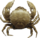 Crab-icon.png