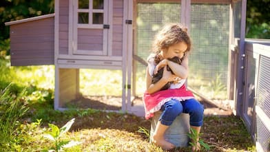 Girl sitting by a chicken coop hugging a chicken