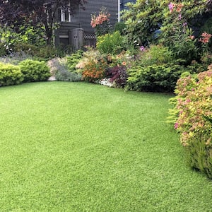 Artificial lawn in the front yard