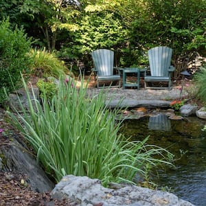 Landscape architecture in a lush garden with a pond