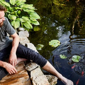 Man looking at fish pond