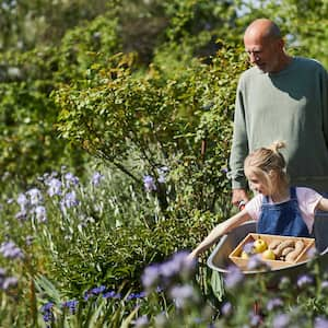 Grandpa pushing wheelbarrow with granddaughter in it 