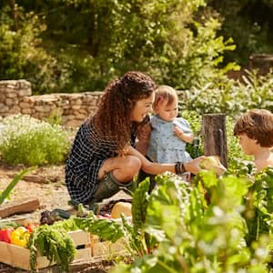 A family gardening in the backyard