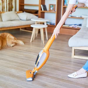 woman vacuuming home with dog