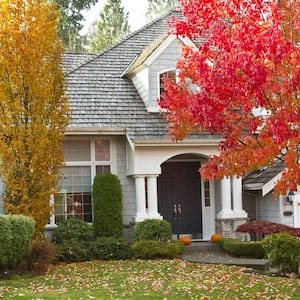 The exterior of a traditional house in fall