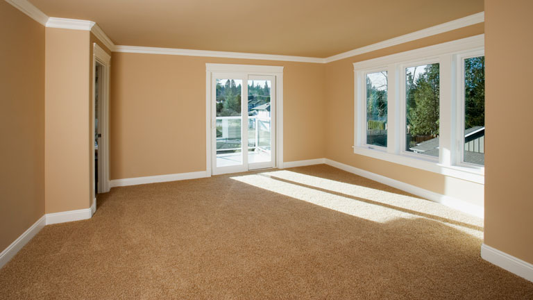 Orange carpet empty living room