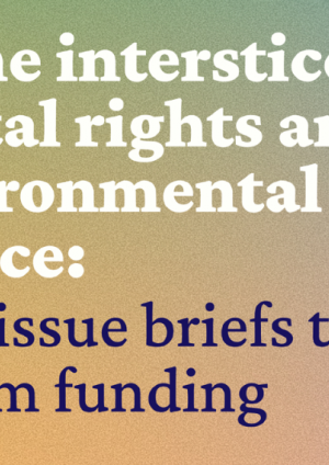 At the interstice of digital rights and environmental justice: Four issue briefs to inform funding