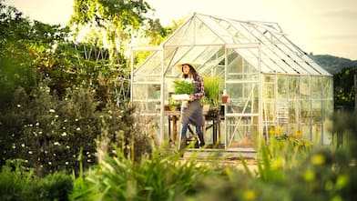 Woman gardening in greenhouse