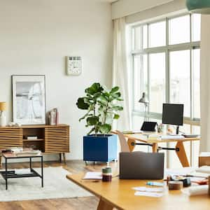 A home office with desks and houseplants