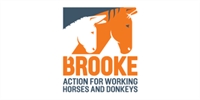 THE BROOKE logo