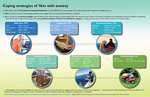 Coping strategies of  Vets with anxiety