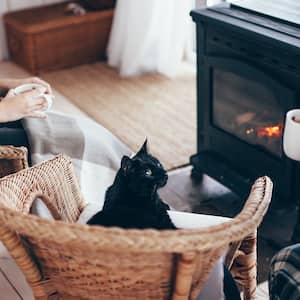 Cat and family by the fireplace