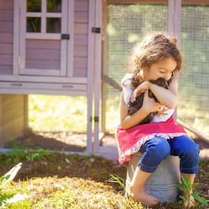 Girl sitting by a chicken coop hugging a chicken