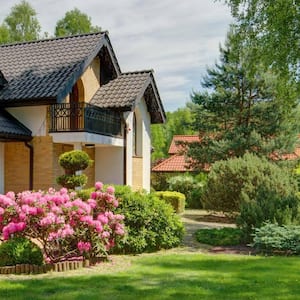 The exterior of a house with a big tree in the garden