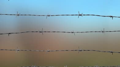 Barbed Wire Fence