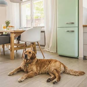 Golden retriever laying by kitchen table