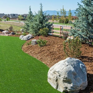 A backyard with artificial turf