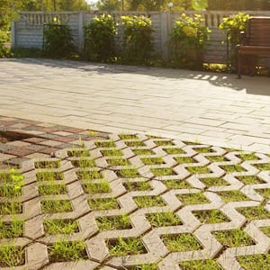 Grass paver blocks in a garden on a sunny day