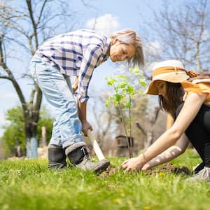 Mother and daughter planting a tree in the yard