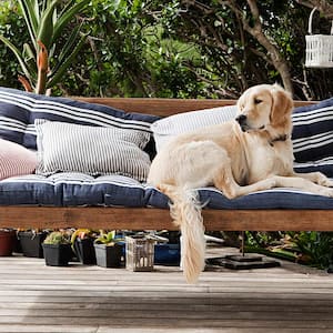 Dog on porch couch pillows