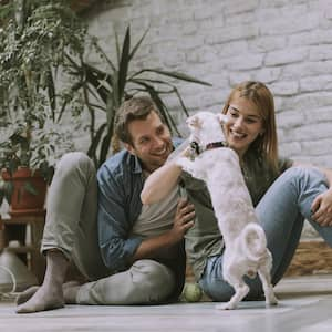 Couple playing with the dog