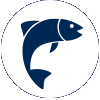 Fish icon