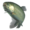 Rainbow trout transparent.png