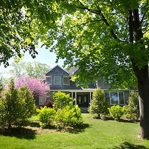 Home with beautiful trees and landscaping
