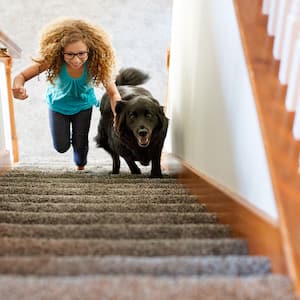 Child and dog on stairs