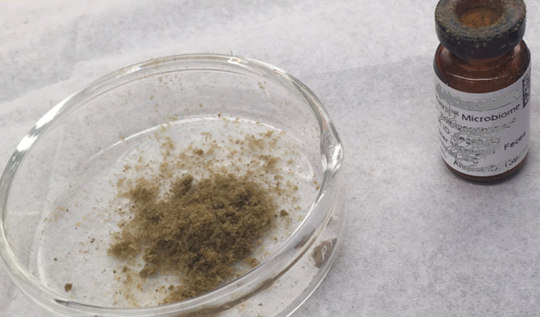 A clump of light brown powder in a petri dish, next to a small vial.