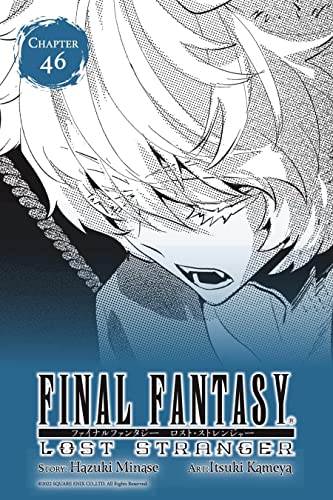 Final Fantasy Lost Stranger #46 Image