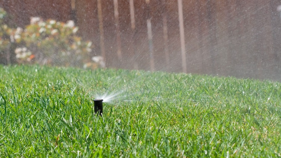 sprinkler watering lawn