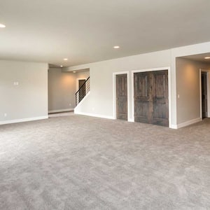 A view of a carpeted lower level of a house