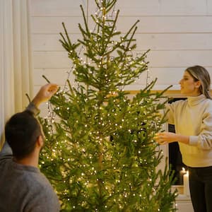 Couple decorating home for Christmas