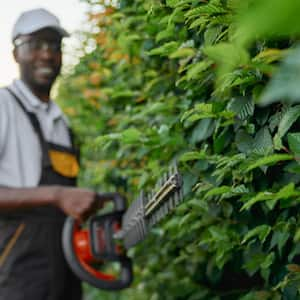 Man trimming hedges with power hedge trimmers