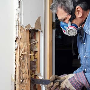 Man removing termite damaged wood