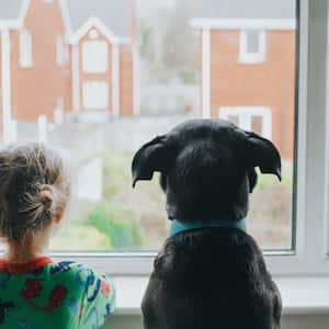 A girl and a dog looking out a window