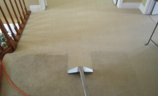 Carpet Being Cleaned