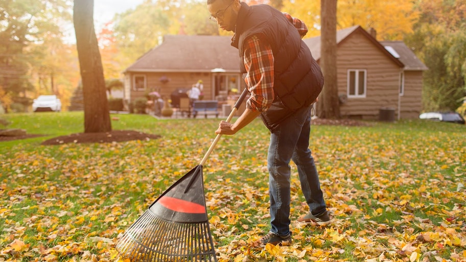 A young man raking leaves in his backyard in autumn