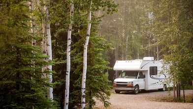 An RV parked in the woods