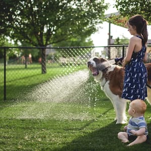 A girl spraying water on dog's mouth