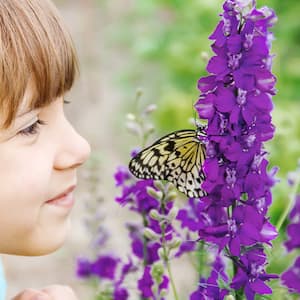 little girl looking at butterfly on purple flower 